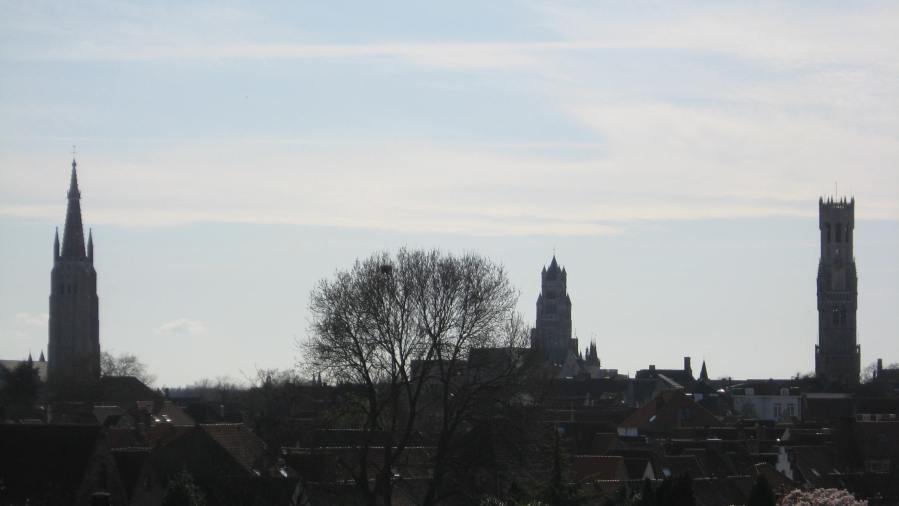 the view of Bruges from the first windmill