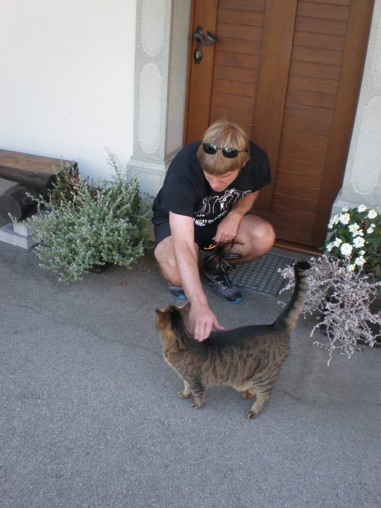 Slovenian cat 1, Bled, 2015