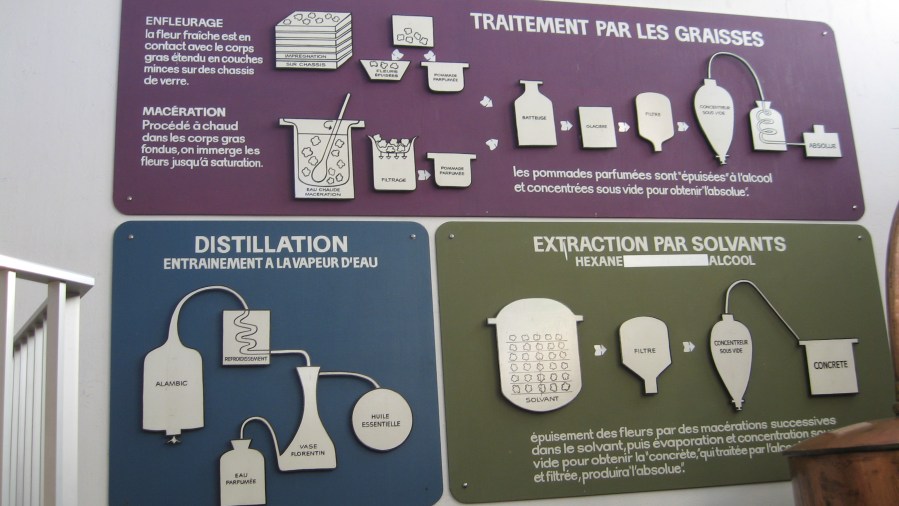 inside Galimard factory in Grasse