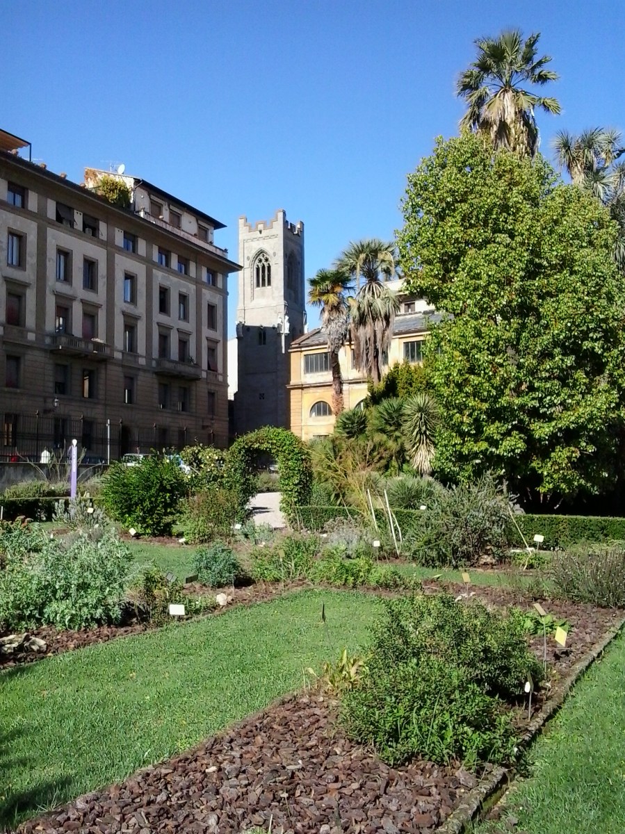 Botanical Garden, Florence
