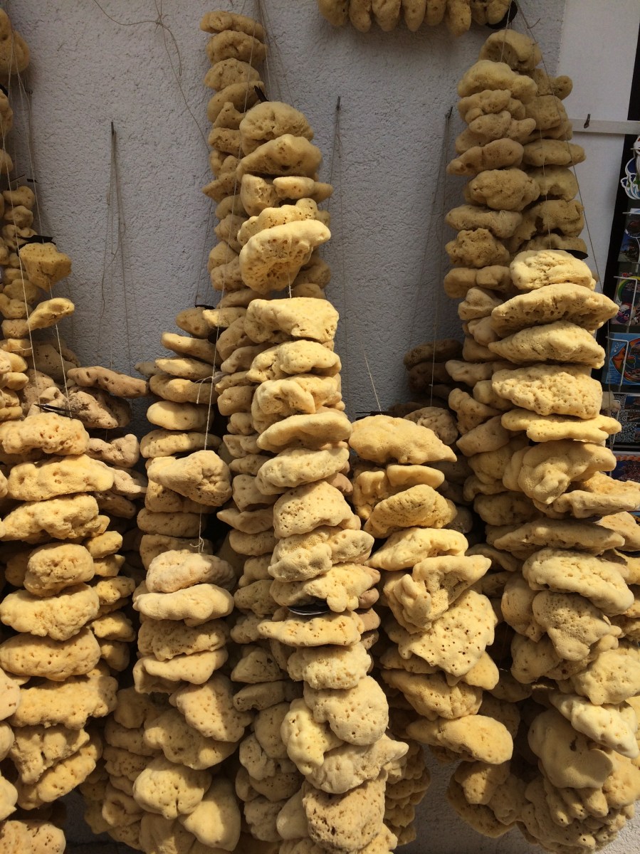natural sponge from the Adriatic sea