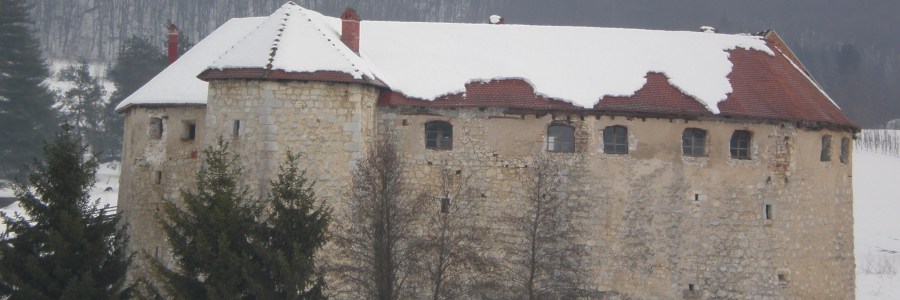 Ribnik castle