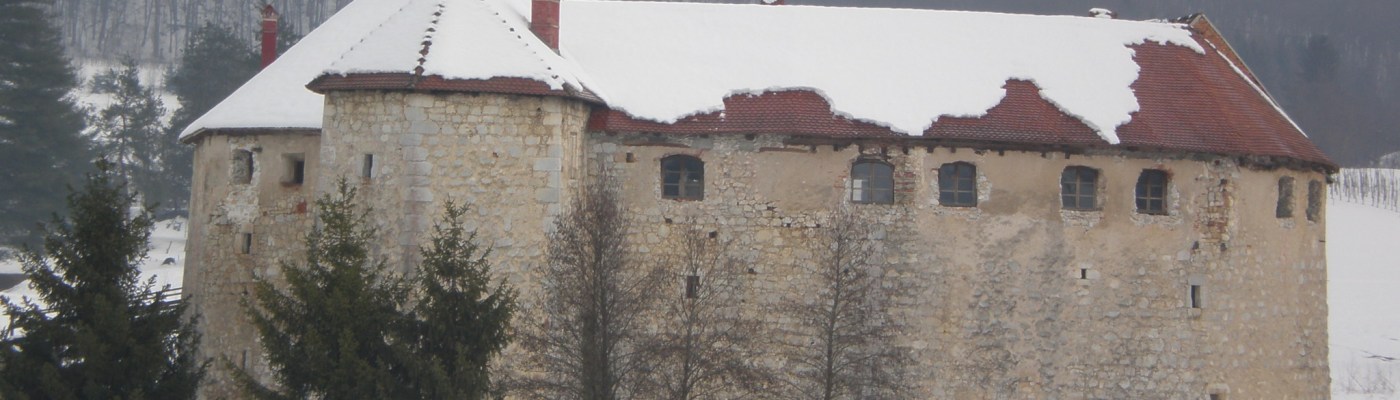 Ribnik castle