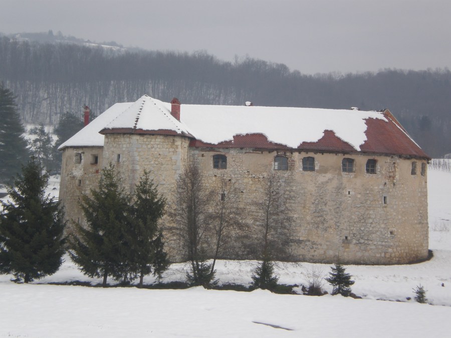 Ribnik castle