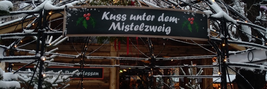 Altes AKH Christmas Market, Vienna