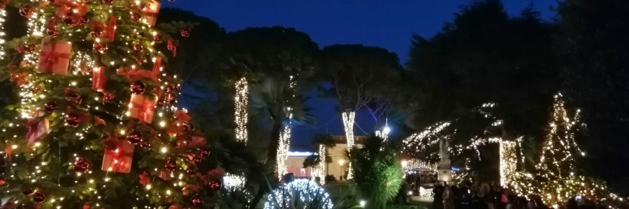 Life & blog update: December 2019