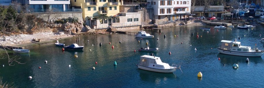 Life & blog update: January 2020