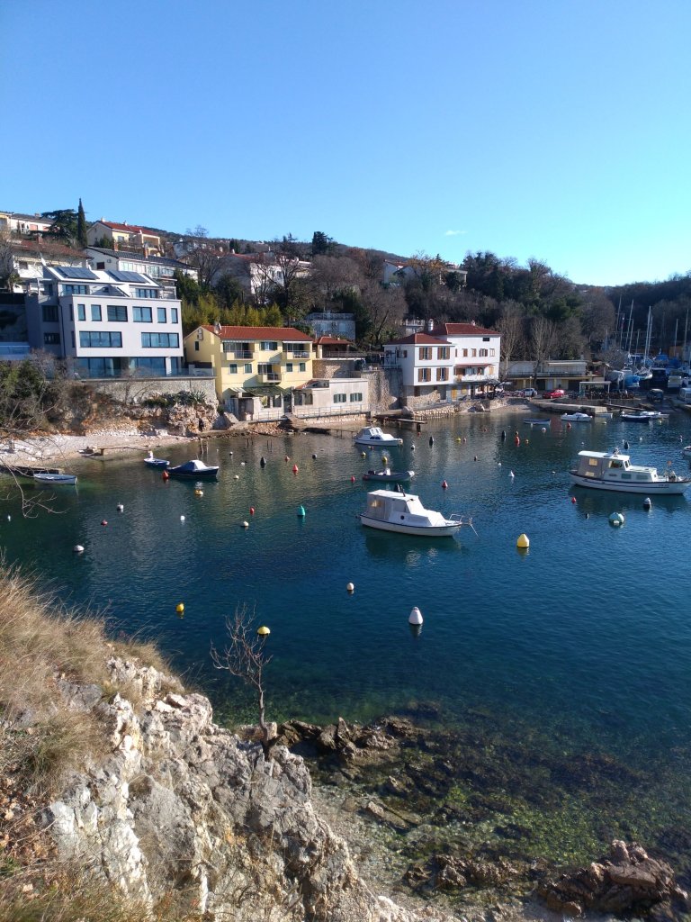 Life & blog update: January 2020