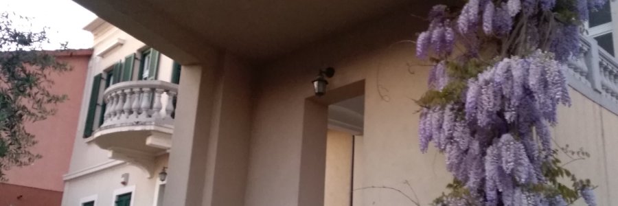 Life & blog update: April 2020