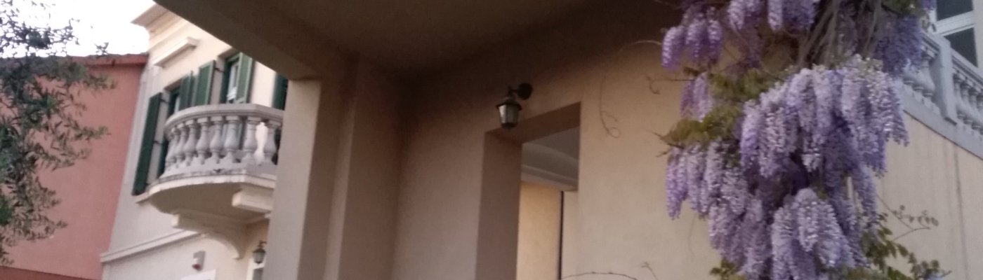 Life & blog update: April 2020