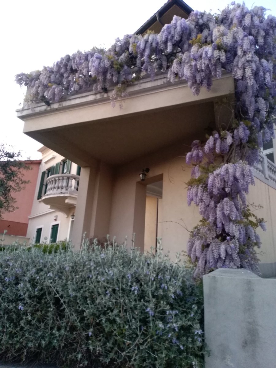 Life & blog update: April 2020