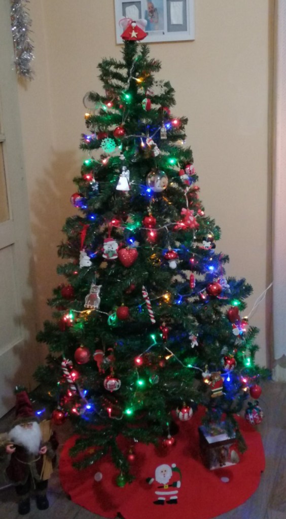 Friendly Friday Photo Challenge: Red and Green