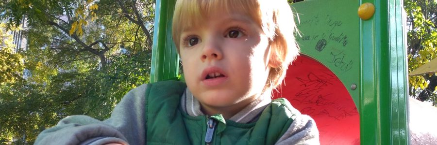 Life & blog update: November 2020