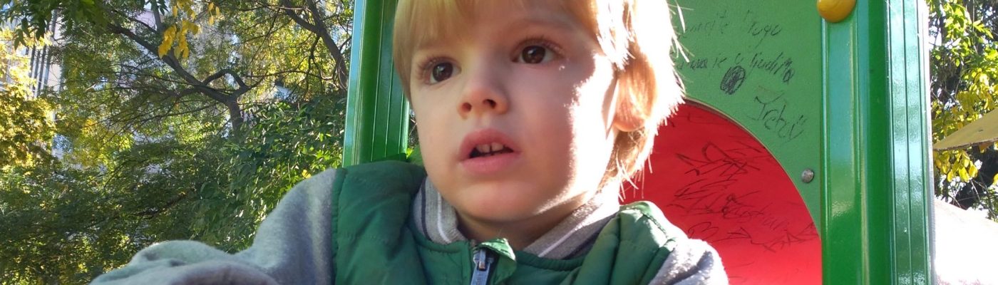 Life & blog update: November 2020