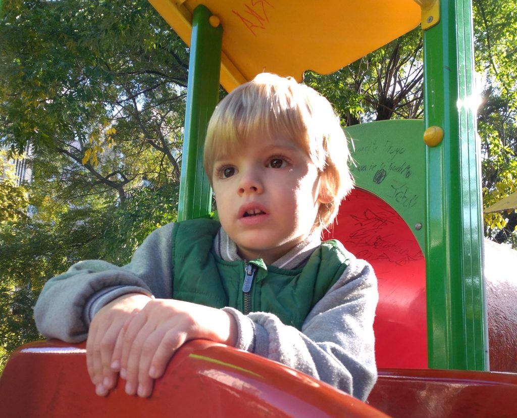 Life & blog update: November 2020