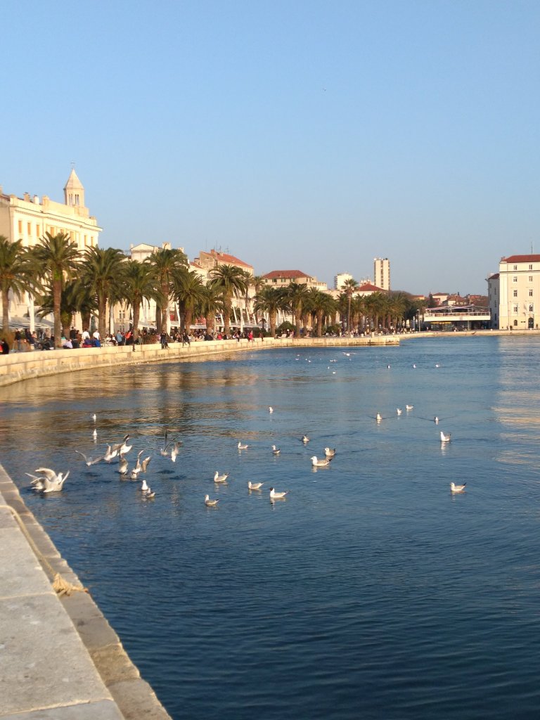 Life & blog update: February 2021