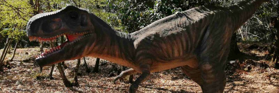 Life and blog update: April 2021