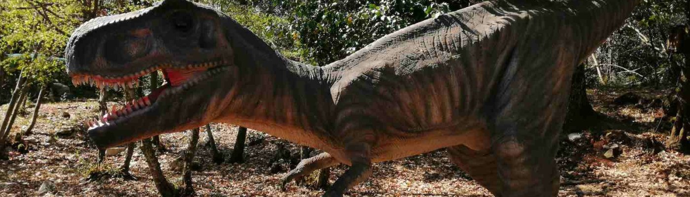 Life and blog update: April 2021