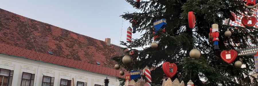 Life & blog update: December 2021