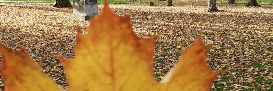 Snapshots from Düsseldorf