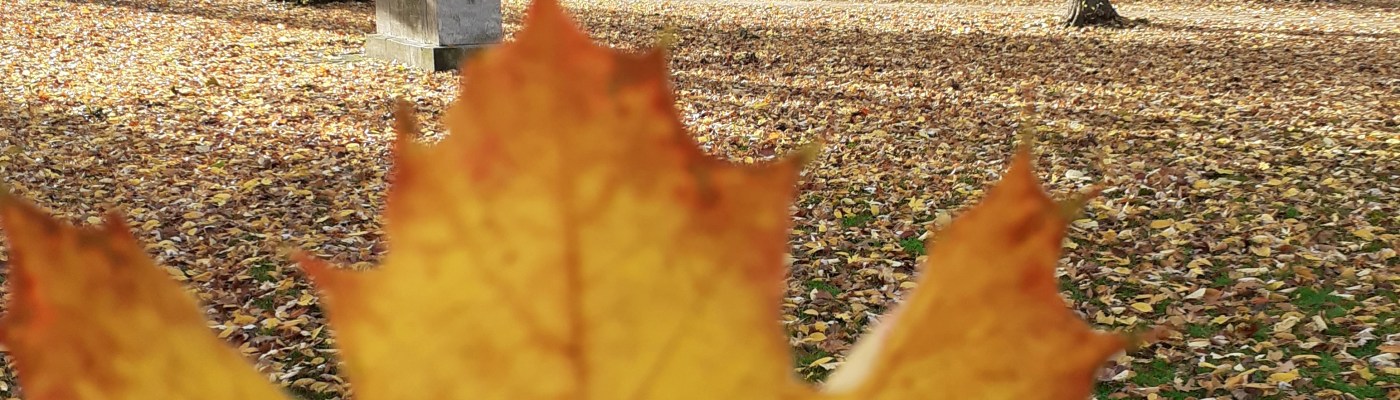 Snapshots from Düsseldorf