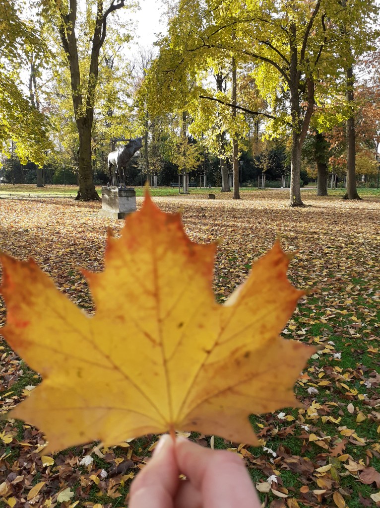 Snapshots from Düsseldorf (Oct/Nov&nbsp;2021)