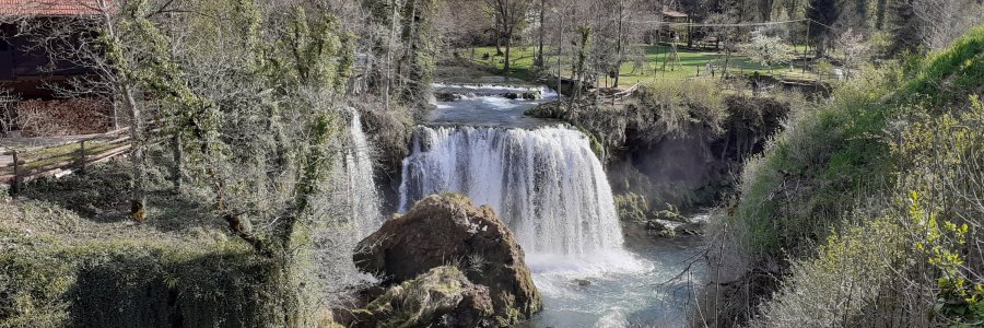 Life & blog update: April 2022