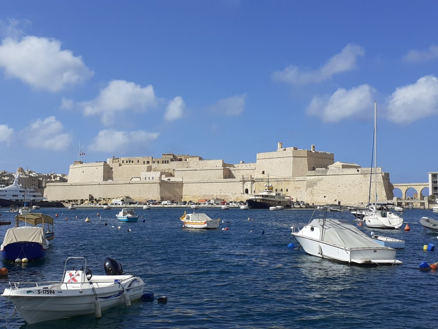 Life & blog update: May&nbsp;2022