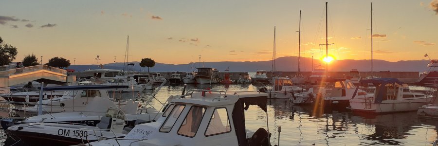 Life & blog update: June 2022