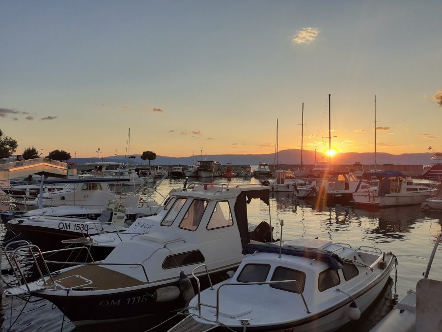 Life & blog update: June&nbsp;2022