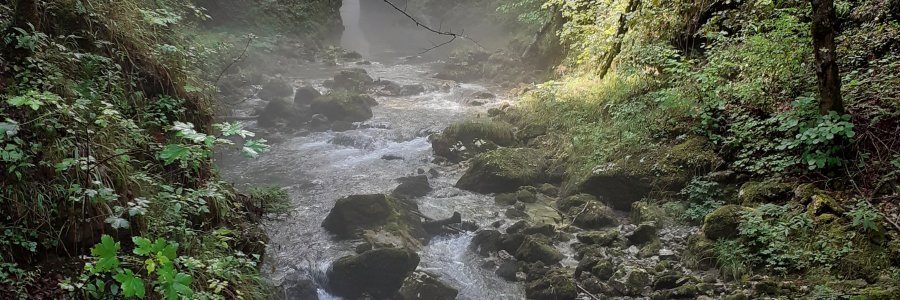 Life & blog update: August 2022