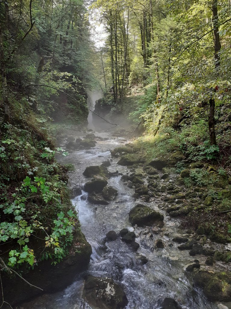 Life & blog update: August 2022