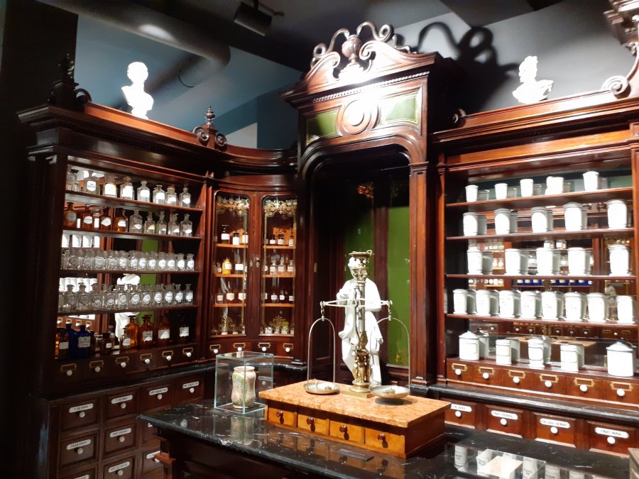 Life & blog update: January&nbsp;2023