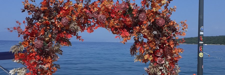 Life & blog update: October 2023