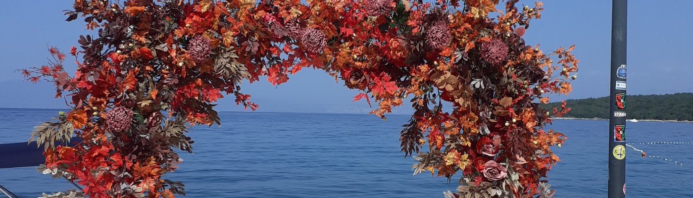 Life & blog update: October 2023