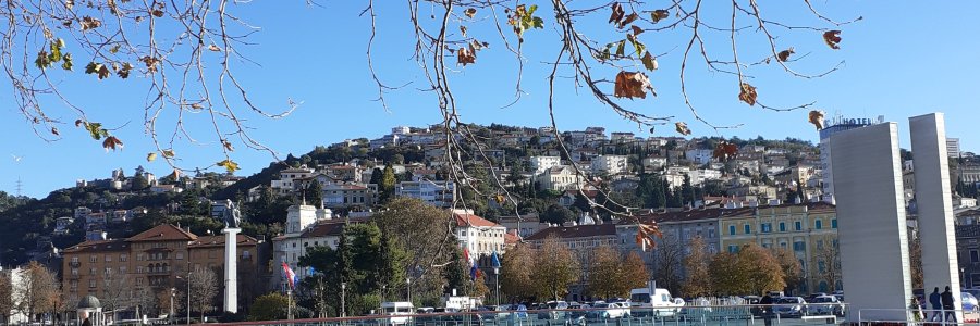 Life & blog update: November 2023