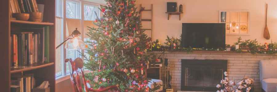 8 books I read in 2023