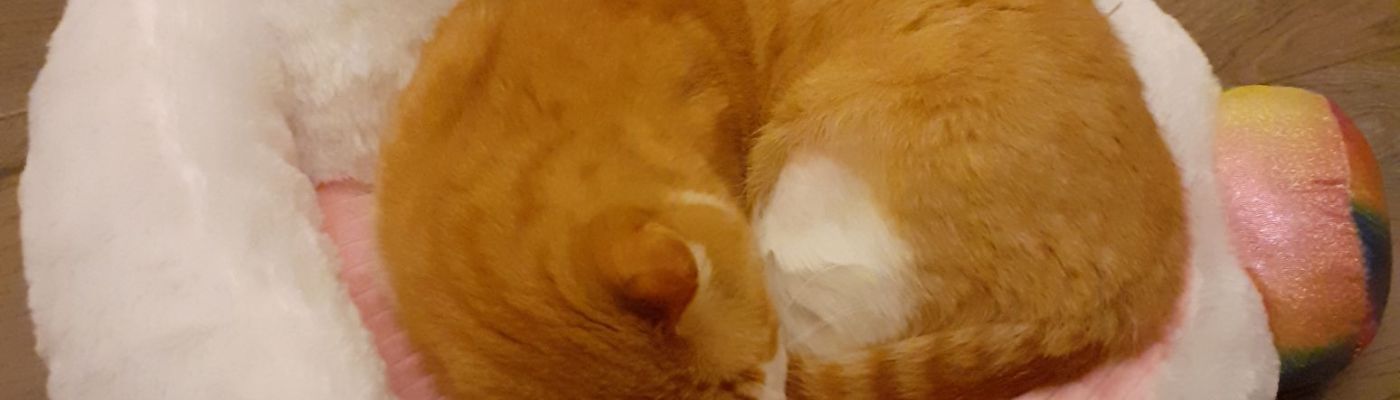 Life & blog update: February 2024