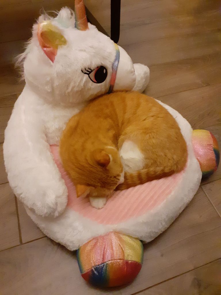 Life & blog update: February 2024