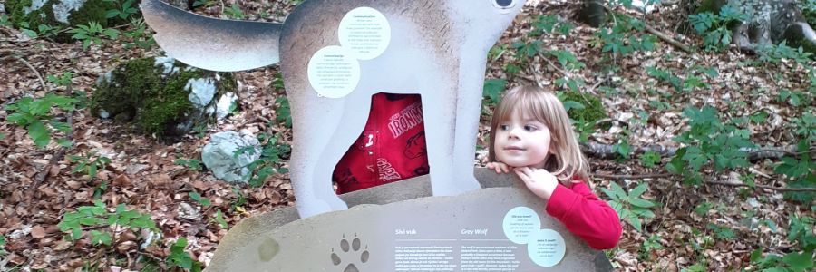 Life & blog update: May 2024