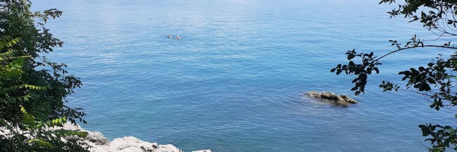 Life & blog update: June 2024