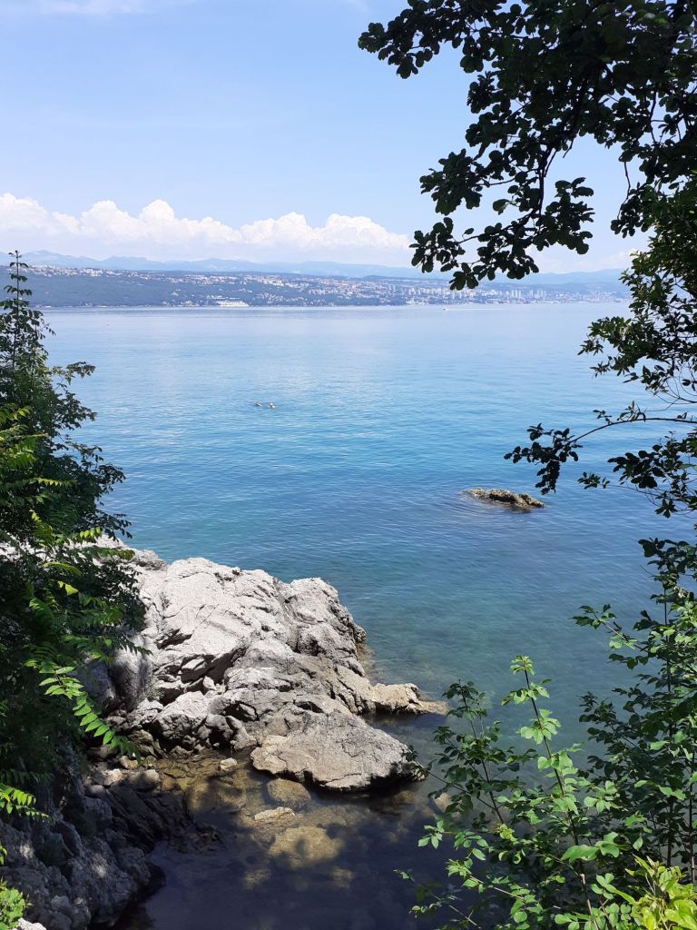 Life & blog update: June&nbsp;2024