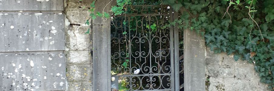 Life & blog update: October 2024