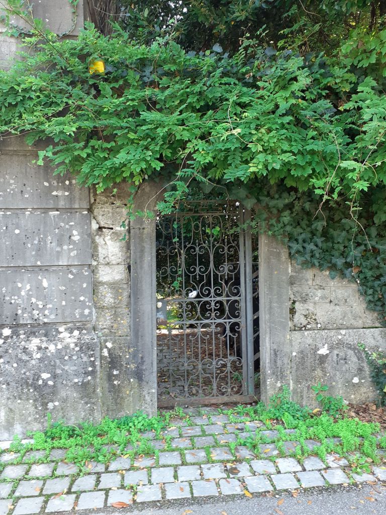 Life & blog update: October 2024 