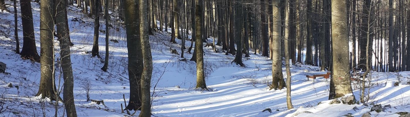 Life & blog update: January and February 2025