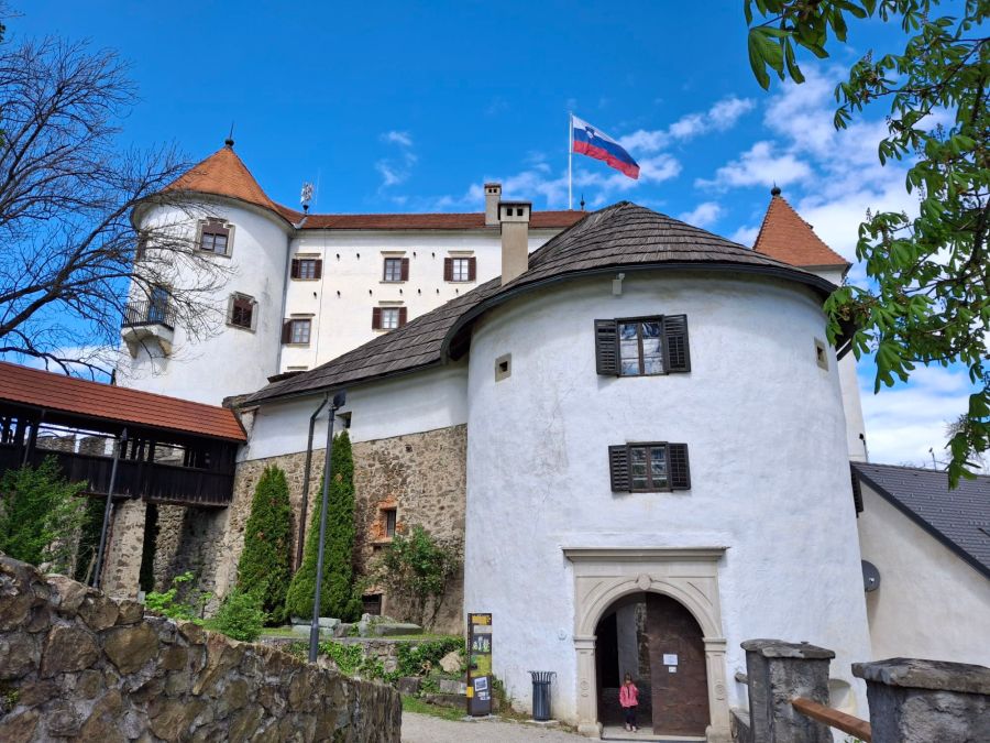 Life & blog update: April 2025