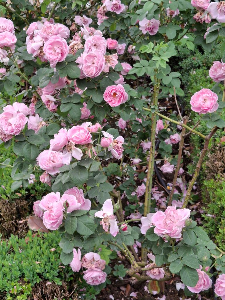 Life & blog update: May&nbsp;2025