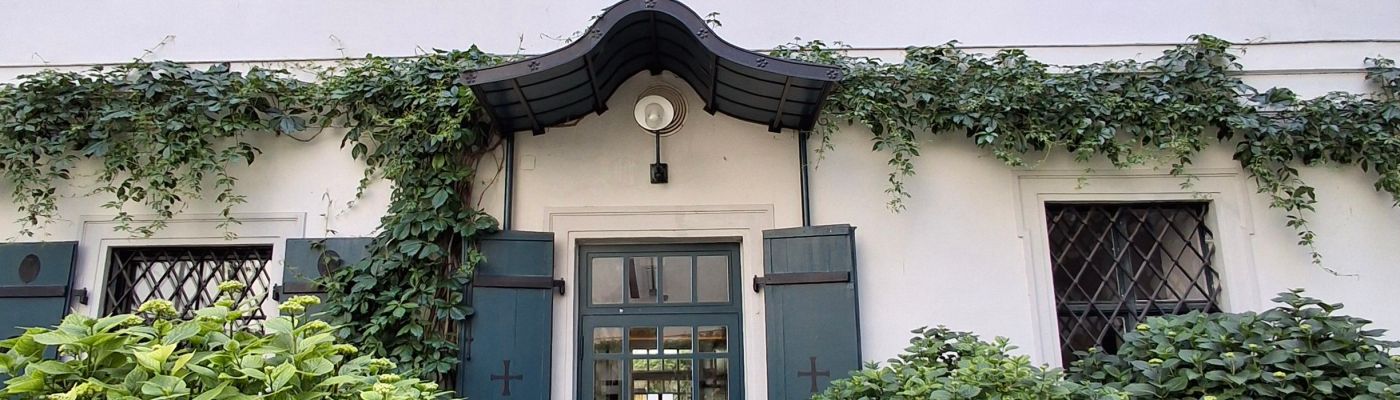 Thursday doors: exceptional doors from Vienna