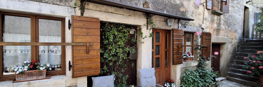 Life & blog update: June 2025