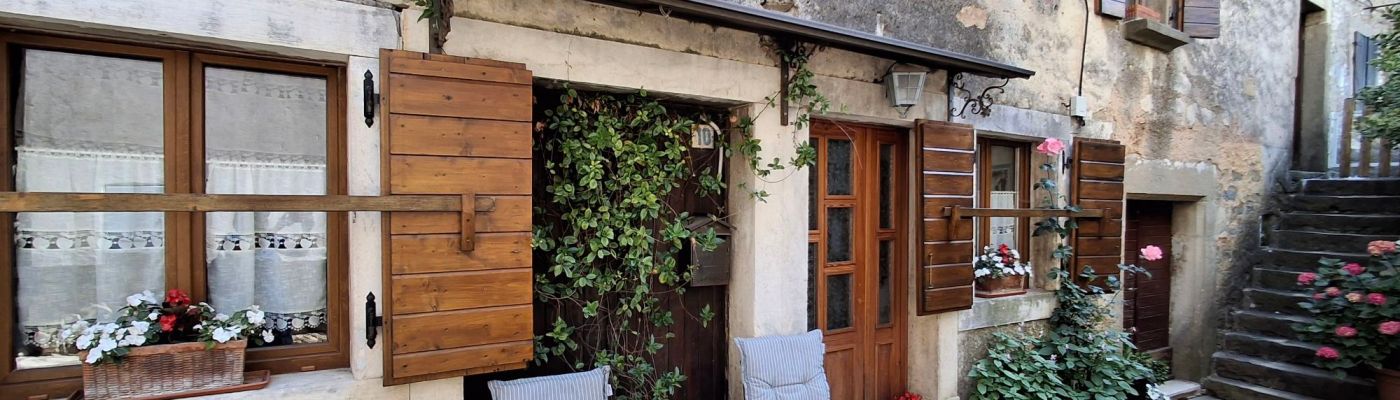 Life & blog update: June 2025